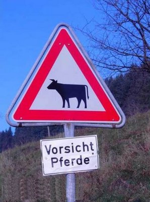 Vorsicht-Pferde.jpg