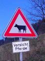 Vorsicht-Pferde.jpg