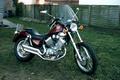 Yamaha_XV535Virago-2.jpg