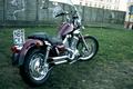 Yamaha_XV535Virago-3.jpg