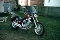 Yamaha_XV535Virago-5.jpg